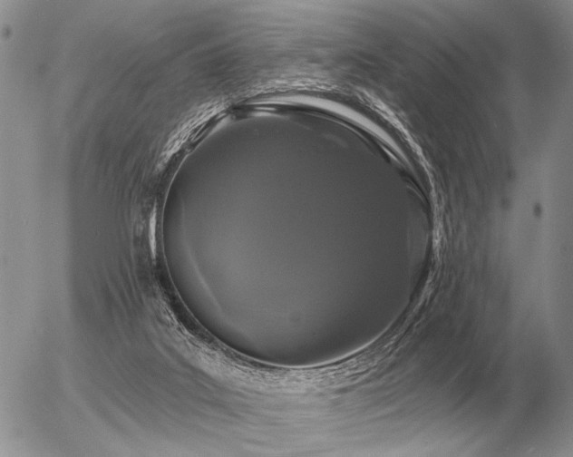 X0000056370019200508261415