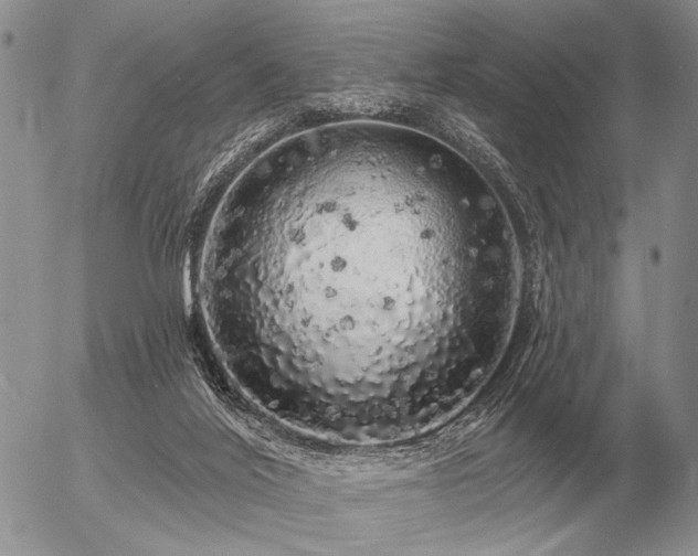 X0000056370020200508261415