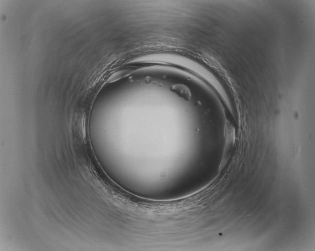 X0000056370021200508261415