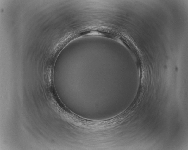 X0000056370023200508261415