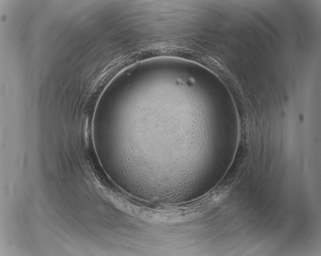 X0000056370024200508261414