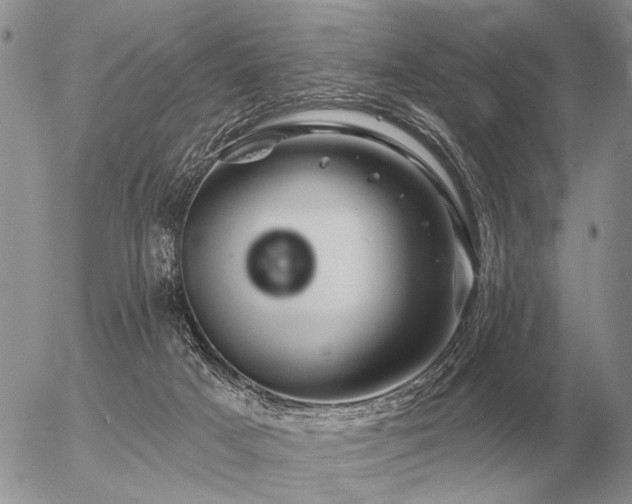 X0000056370025200508261414