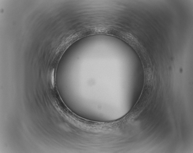 X0000056370028200508261414