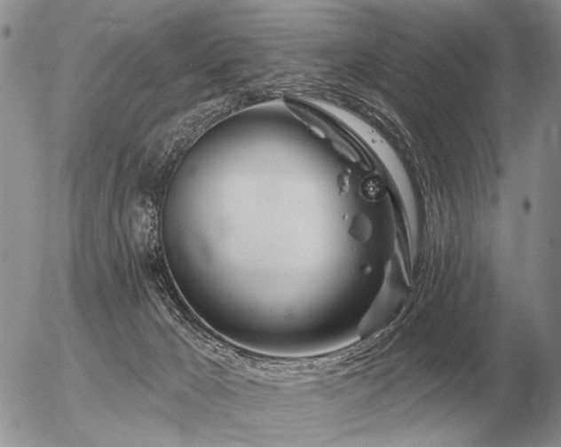 X0000056370029200508261414