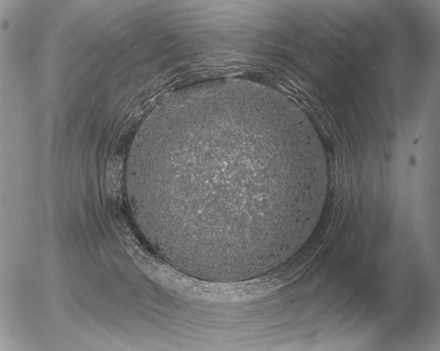 X0000056370030200508261414