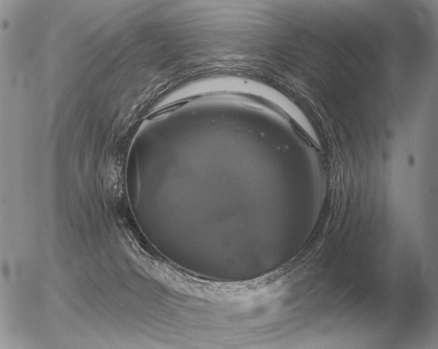 X0000056370031200508261414