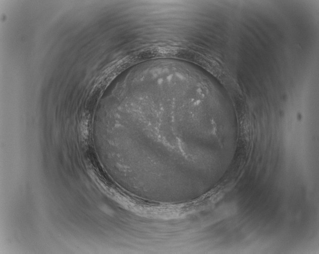 X0000056370032200508261414