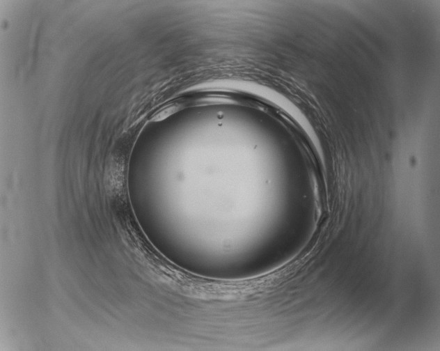 X0000056370033200508261414