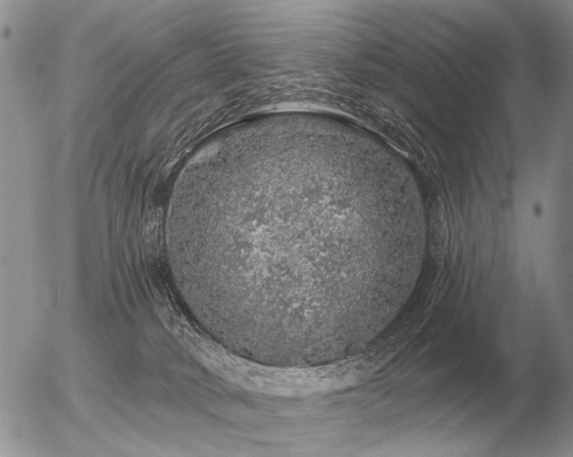 X0000056370034200508261414