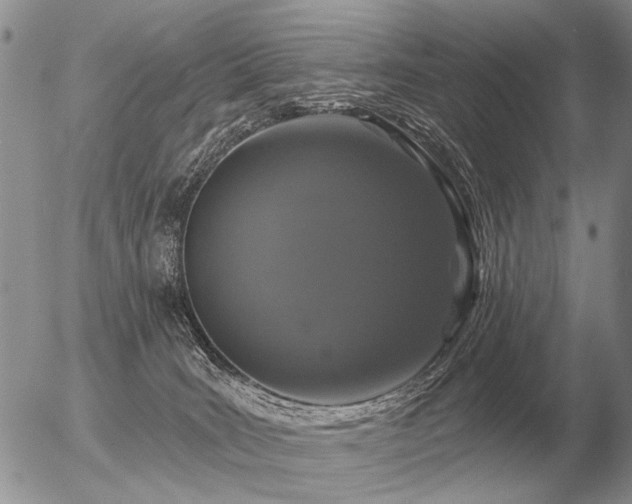 X0000056370035200508261414