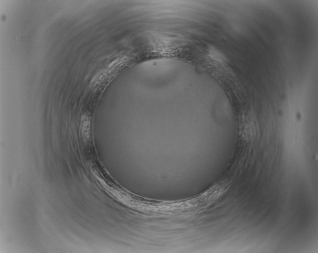 X0000056370036200508261414