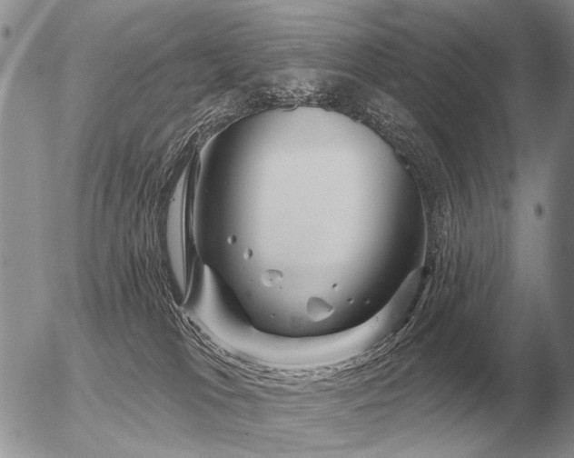 X0000056370037200508261414