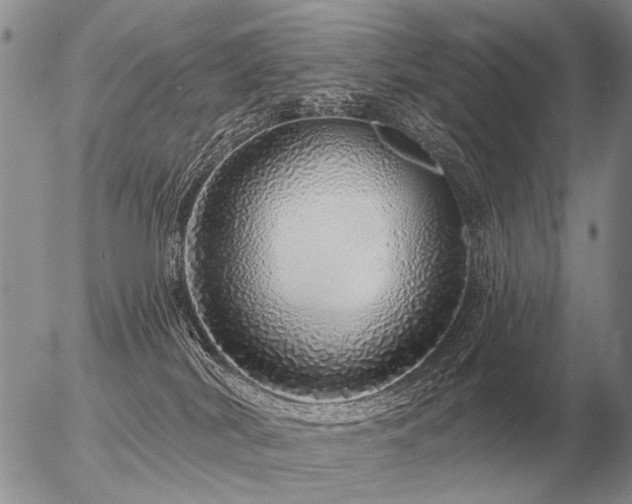 X0000056370038200508261414