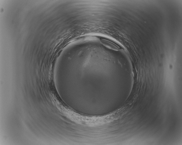 X0000056370039200508261414