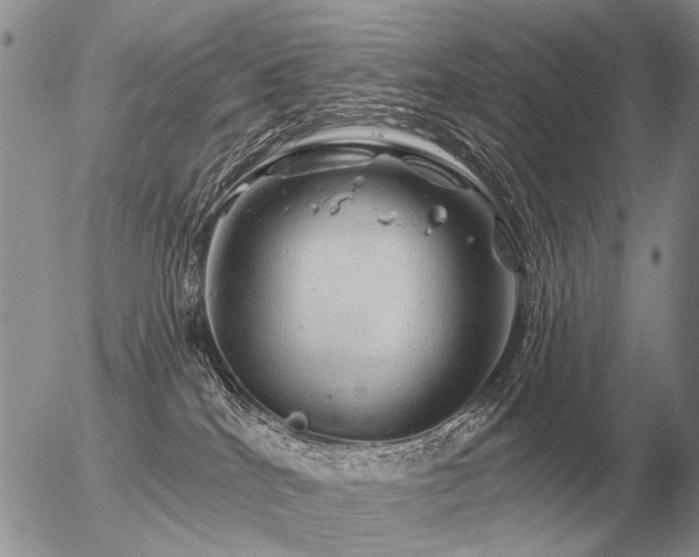 X0000056370040200508261414