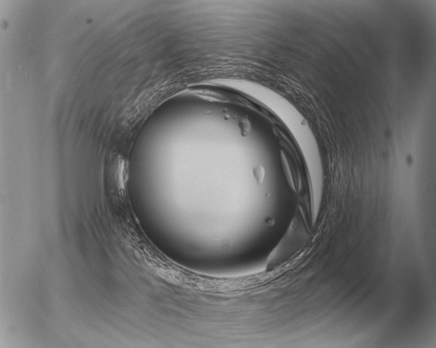 X0000056370041200508261414