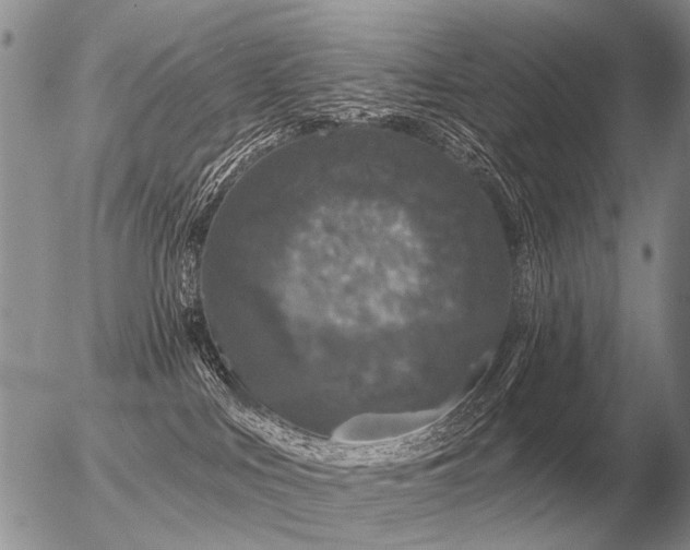 X0000056370043200508261414