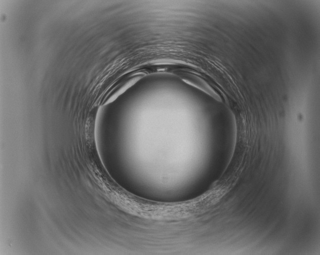 X0000056370044200508261414