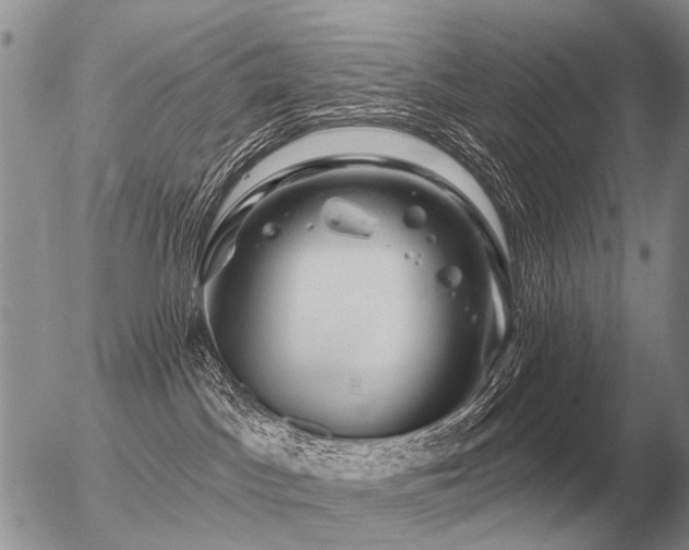 X0000056370045200508261414