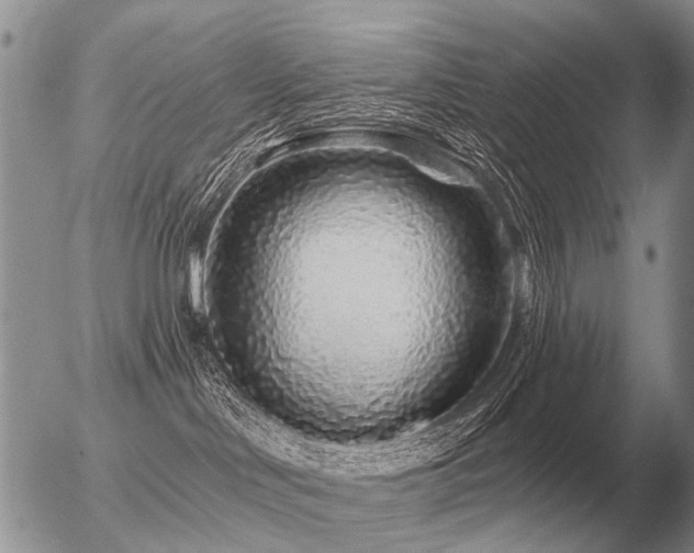 X0000056370046200508261414