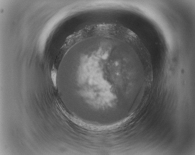 X0000056370047200508261414