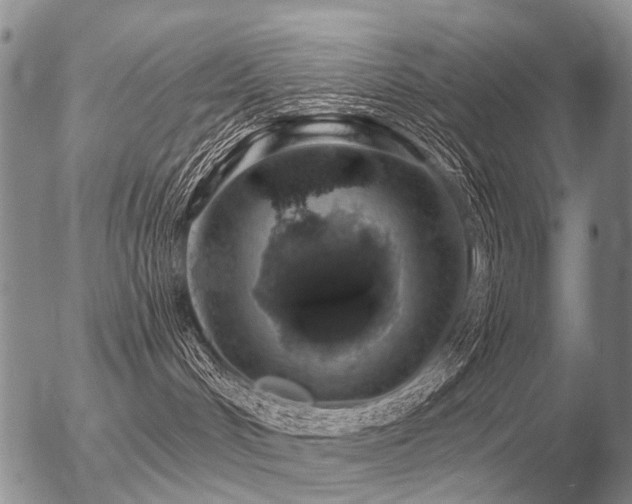 X0000056370048200508261414