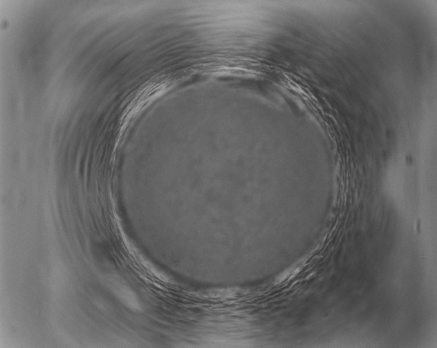 X0000056370049200508261413