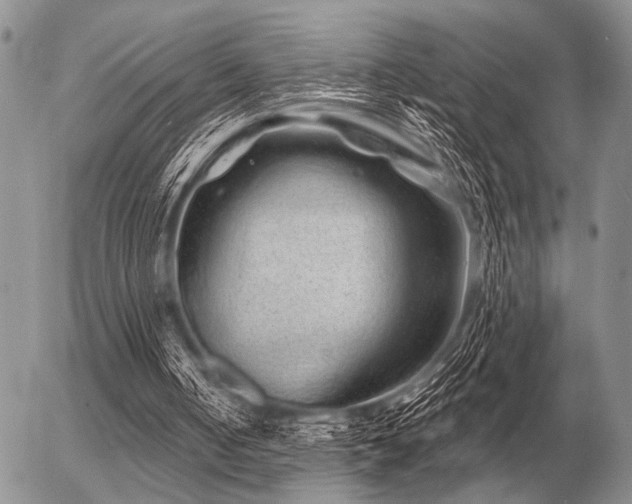 X0000056370050200508261413