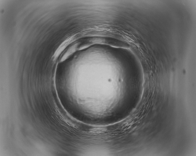 X0000056370051200508261413