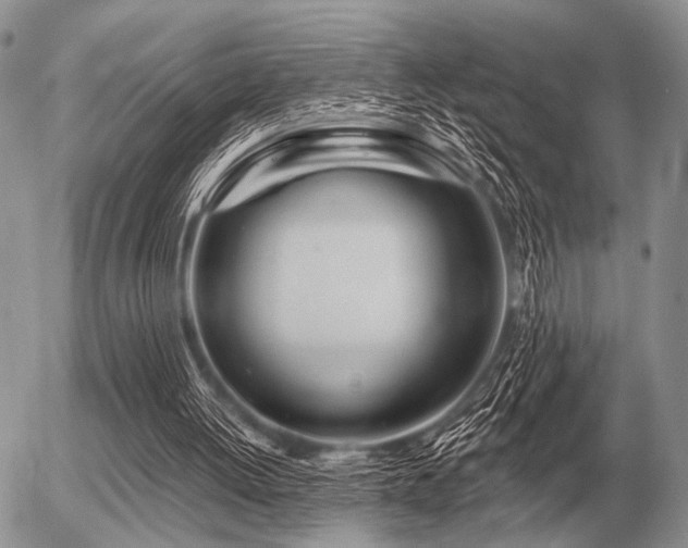 X0000056370052200508261413