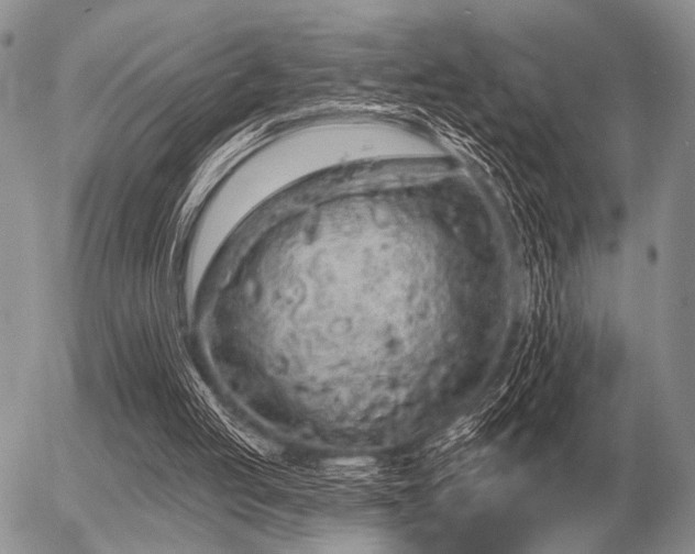 X0000056370053200508261413