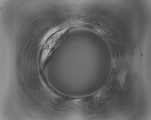 X0000056370054200508261413