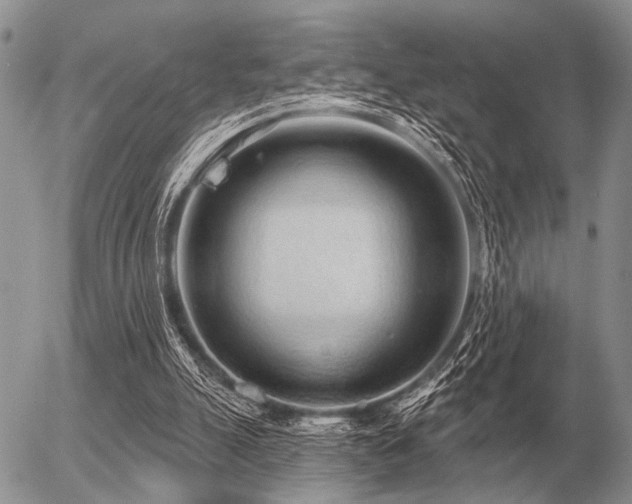 X0000056370055200508261413