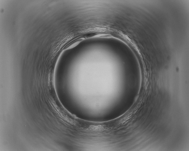 X0000056370057200508261413