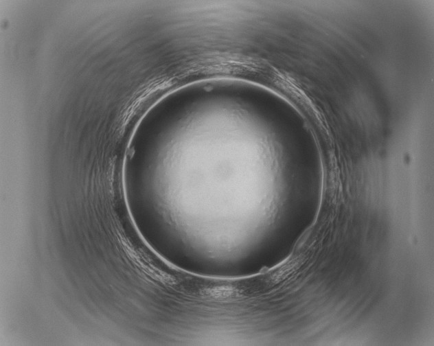 X0000056370058200508261413