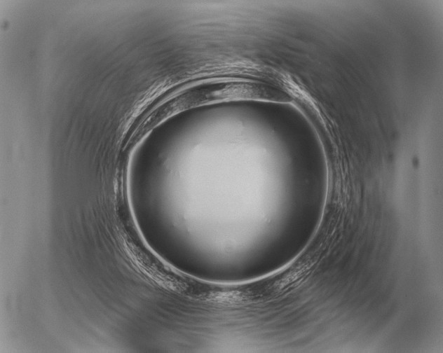 X0000056370059200508261413