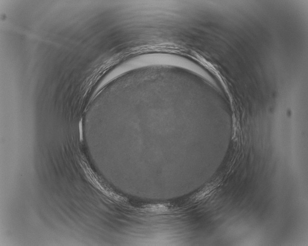 X0000056370061200508261413