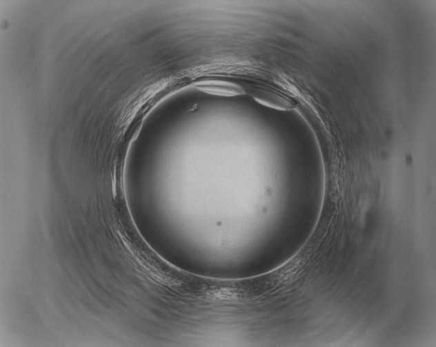 X0000056370062200508261414