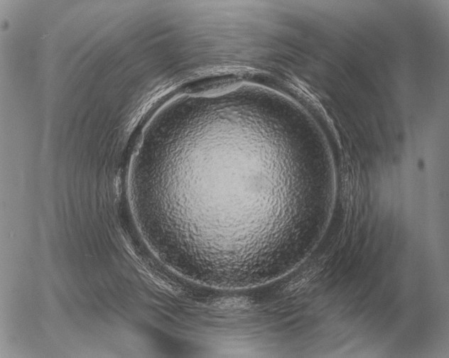 X0000056370063200508261414