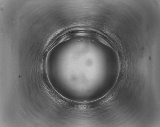 X0000056370064200508261414