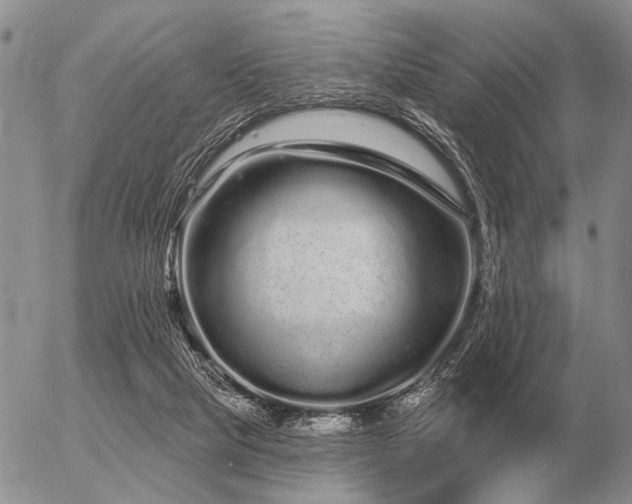 X0000056370065200508261414