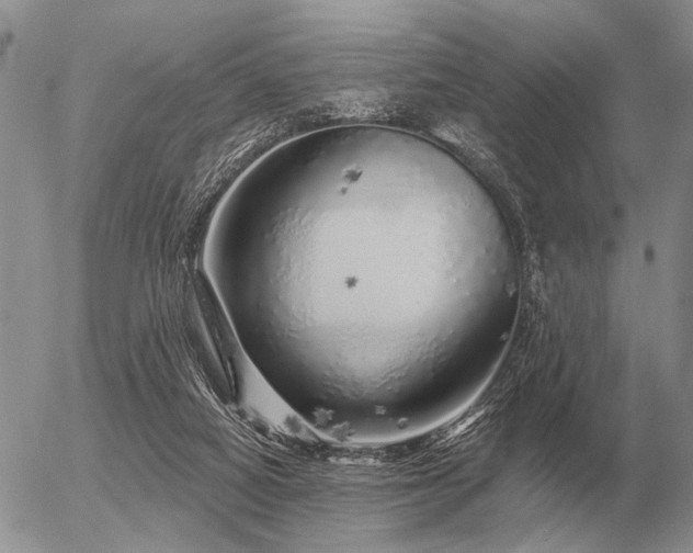 X0000056370066200508261414