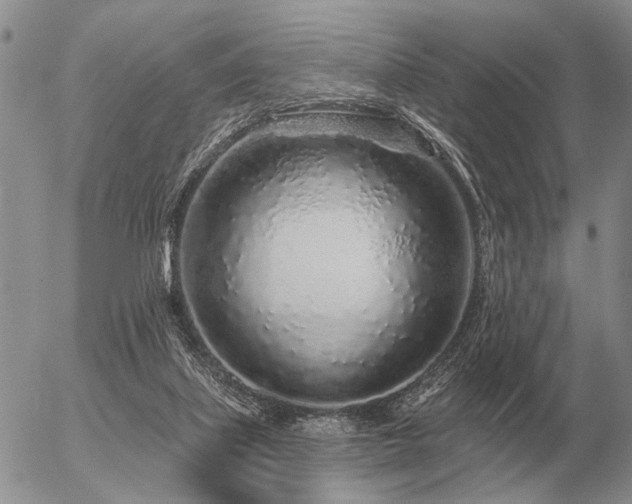 X0000056370067200508261414