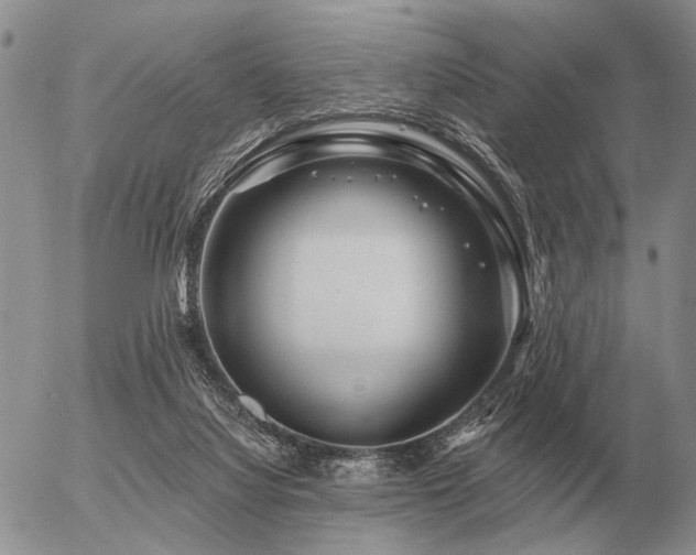 X0000056370068200508261414