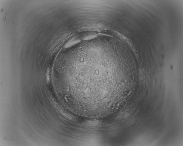 X0000056370069200508261414