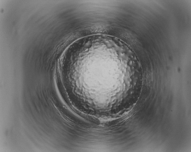 X0000056370070200508261414