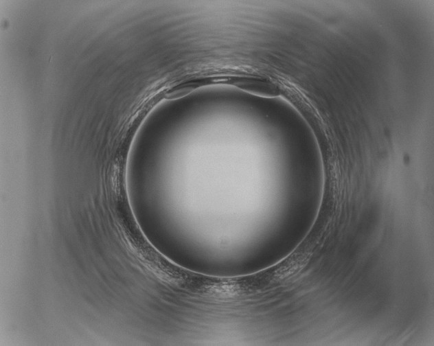 X0000056370071200508261414