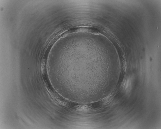 X0000056370074200508261414