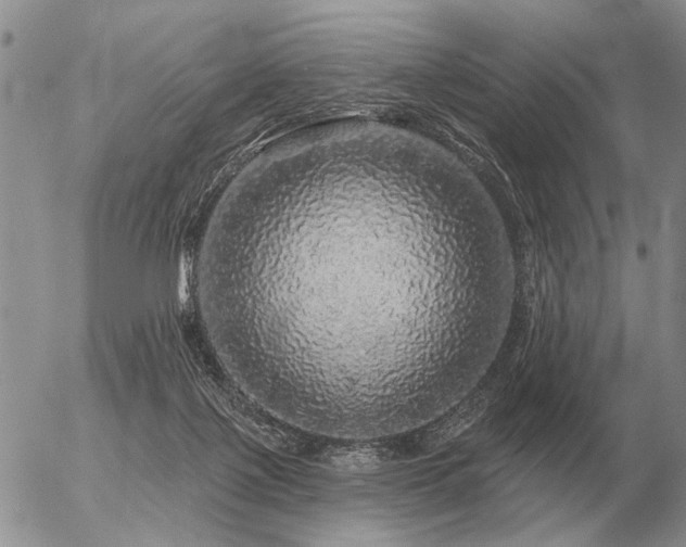 X0000056370075200508261414