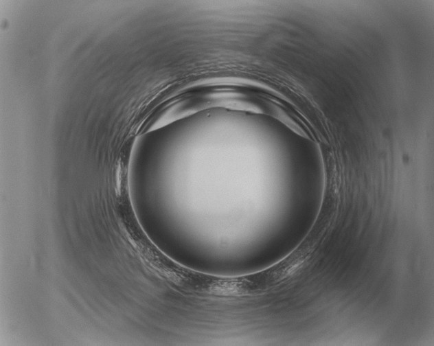 X0000056370076200508261414